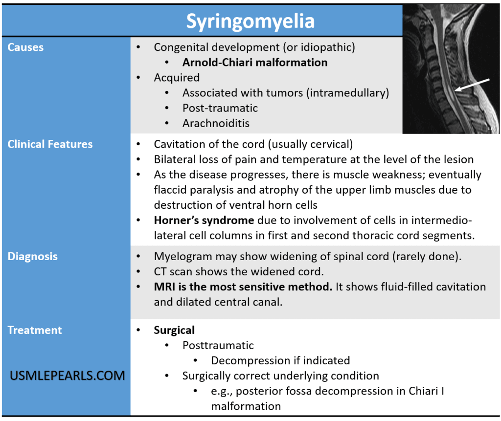 Syringomyelia Cape Like